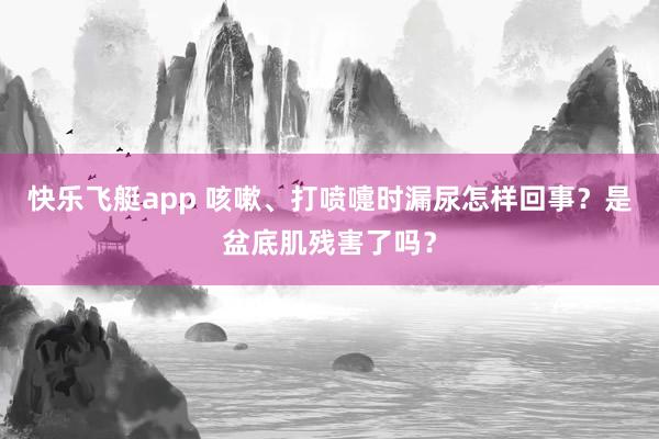 快乐飞艇app 咳嗽、打喷嚏时漏尿怎样回事？是盆底肌残害了吗？